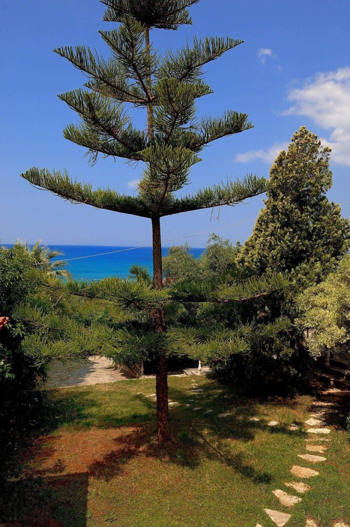 Villa Vanda Lygia  Buitenkant foto